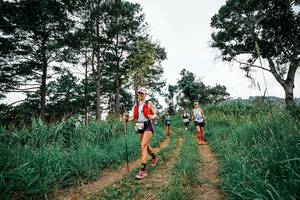 BIB: 
                            <button type="button" onclick="openModal(26036506)" class="btn btn-primary btn-sm float-right btn-popup" data-toggle="modal" data-target=".modal-high-quality">
                        <i class="fas fa-shopping-cart"></i> Add to Cart
                    </button>
                                            <button type="button" onclick="isThisMe(26036506, true)" class="btn btn-success btn-sm float-right btn-popup btn-isme hidden" data-toggle="tooltip" data-placement="bottom" title="นี่คือรูปของคุณใช่ไหม คลิกที่นี่เพื่อเอาเข้าอัลบั้ม">
                        <i class="fas fa-plus"></i> Add to album
                    </button>
                    <button type="button" onclick="isThisMe(26036506, false)" class="btn btn-warning btn-sm float-right btn-popup btn-isnotme hidden">
                        <i class="fas fa-ban"></i> Remove from album
                    </button>